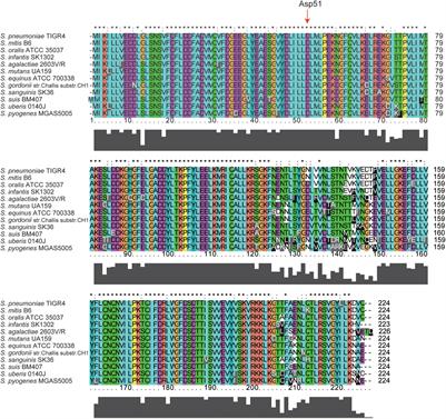 The Role and Regulatory Network of the CiaRH Two-Component System in Streptococcal Species